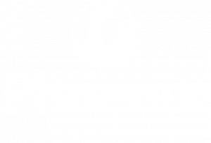 Phoenix Learning Logo